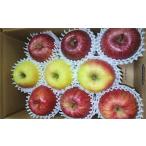 ふるさと納税 りんご 北海道 増毛町 7-010-020　秋香園 大玉りんご 3kg 10月〜2月発送