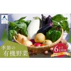 セット 詰合せ 有機野菜 定期便 西田農園 季節の有機野菜詰…