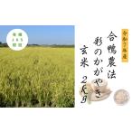 合鴨農法 彩のかがやき玄米2kg