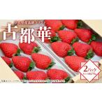 ショッピングふるさと納税 いちご ふるさと納税 いちご 奈良県 橿原市 奈良県産高級ブランド　古都華 約270g×2パック 2026年1月中旬頃より順次発送予定