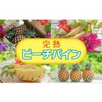 ショッピングふるさと納税 桃 ふるさと納税 沖縄県 竹富町 2024年 先行予約 パイナップル 人気No.３ 西表島ナウパカの『えっ !? これパイナップル !? 』☆ほんの〜り桃の香りのする不思議な…