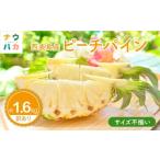 ふるさと納税 果物類 沖縄県 竹富町  訳あり 新感覚の味わい 桃のような芳醇な香りのする　『西表島産完熟ピーチパイン』 約1.6kg 約1.6kg