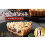 ふるさと納税 ケーキ・カステラ タルト 山形県 - ブランドォレ さくらんぼタルト 山形県産さくらんぼ使用 フルーツ スイーツ F2Y-5356