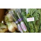 fu.... налог комплект *... Osaka (столичный округ) Izumi .. город предшествующий предварительный заказ Izumi .TONO ферма тщательно отобранный весна. овощи комплект свежий овощи Izumi .. производство ... ограниченное количество 