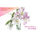 花 苗木 花束 月命日にお届けする季節の百合の花束