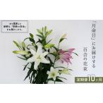 花 苗木 花束 月命日にお届けする季節の百合の花束