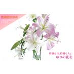 花 苗木 花束 月命日にお届けする季節の百合の花束