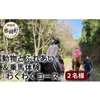 体験チケット 動物ふれあい&乗馬体験 わくわくコース