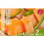 ふるさと納税 メロン メロン赤肉 北海道 旭川市 先行予約 北海道赤肉メロン 2kg 2玉入り 合計約4.0kg(2025年7月下旬〜発送予定)_01988 果物 くだもの フ…
