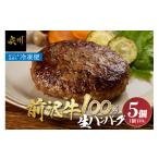 牛肉 ハンバーグ 至極の前沢牛100%生ハンバーグ 130g×5個セ…