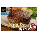 牛肉 ハンバーグ 至極の前沢牛100%生ハンバーグ 130g×15個…