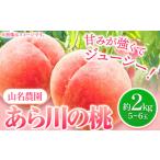 ふるさと納税 和歌山県 紀の川市 あら川の桃 約2kg 5-6玉 山名農園 《2024年6月下旬-9月中旬頃出荷》 和歌山県 紀の川市 桃 もも モモ 白鳳 白桃 フルーツ 果…