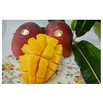 ふるさと納税 マンゴー 沖縄県 石垣市 先行予約 石垣島産マンゴー (アーウィン種) 2〜3玉 約1kg | マンゴー アップルマンゴー 沖縄県 IF-1 2〜3玉 約1kg