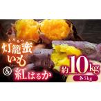 野菜類 サツマイモ さつまいも 食べ比べ セット
