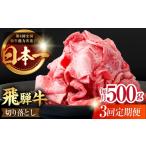 牛肉 すき焼き 3回定期便 飛騨牛 切り落とし