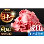 牛肉 すき焼き 6回定期便 飛騨牛 切り落とし