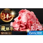 牛肉 すき焼き 6回 定期便 飛騨牛 切り落とし