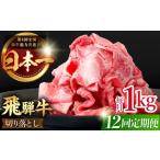 牛肉 すき焼き 12回 定期便 飛騨牛 切り落とし