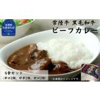 加工品等 レトルト 常陸牛 黒毛和牛 ビーフカレー