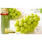 ぶどう マスカット シャインマスカット 晴王