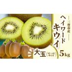 果物類 ヘイワードキウイ5kg