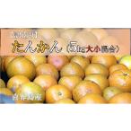 みかん 柑橘類 訳あり たんかん 5Kg大小混合