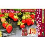 道内発送 豊浦いちご けんたろう 小粒 250g×4パック入り