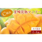 ふるさと納税 マンゴー 宮崎県 串間市  やました農園 先行予約 生産者応援 糖度13度以上 平均15度以上 ご家庭用 宮崎完熟マンゴー1.5〜1.7 kg（2Lサイズ2玉入…