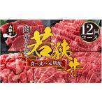 牛肉 ヒレ 定期便12回 若狭牛 食べ比べ 和牛