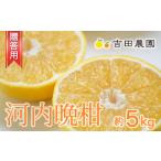 ふるさと納税 みかん�