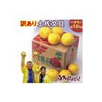 ふるさと納税 みかん・柑橘類 高知県 土佐市 ＼果樹園直送／ 白木果樹園産 訳あり 土佐文旦約10kg B級品 (約15〜20個入り) 家庭用