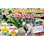 トマト ミニトマト 2026年12月上旬頃よりお届け