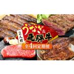 牛肉 ステーキ 全4回定期便 うなぎと飛騨牛