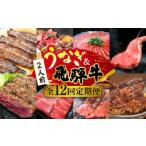 牛肉 ステーキ 全12回定期便 うなぎと飛騨牛