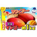 ショッピングふるさと納税 マンゴー ふるさと納税 マンゴー 沖縄県 名護市 2026年発送　道の駅許田の優品アップルマンゴー　約1kg 完熟 マンゴー アップル 南国 沖縄 フルーツ くだもの 果物 果実…