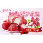 ふるさと納税 菓子 アイス 山口県 光市 A010 春摘み いちごアイス（50粒） 金賞受賞 一口アイス 苺 アイス