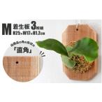 着生板 Mサイズ 3枚組 角の形状:直角