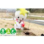 感謝状等 思いやり型返礼品 AidTAKATA