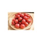 fu.... налог овощи вид помидор Gunma префектура Yoshioka блок каштан рисовое поле теплица сельское хозяйство .. король помидор (4kg коробка ) сельское хозяйство . вода производство большой .. выигрыш 1343319