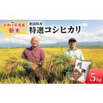 ふるさと納税 米 コシヒカリ 新潟県 新潟市 新潟県産 コシヒカリ 5kg 米 精米 白米 こめ コメ お米 おこめ こしひかり 新潟 新潟県