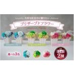 花 苗木 ブルー プリザーブドフラワー 2個セット