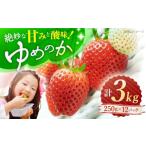 ふるさと納税 いちご 長崎県 西海市  先行予約 ゆめのか いちご 計3kg（250g×12パック) 川原農園 CDR011 長崎 西海 イチゴ いちご 苺 ゆめのか いちご