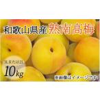 果物類 梅干 梅酒用 3Lまたは2L−10Kg