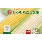 ショッピングとうもろこし ふるさと納税 北海道 倶知安町 北海道産 とうもろこし 2種 計24本 L-2L サイズ混合  味来 ロイシーコーン 食べ比べ セット 旬 朝採り 新鮮 トウモロコシ とう…