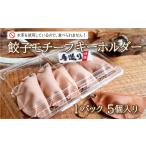 小物 餃子 モチーフ キーホルダー 5個