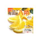 ふるさと納税 みかん・柑橘類 和歌山県 湯浅町 DI6030n_和歌山県有田産 八朔 5kg 訳あり (M〜2Lサイズおまかせ)
