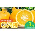 みかん 柑橘類 2027年 セミノール 約3kg