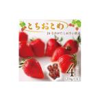 ふるさと納税 いちご 茨城県 行方市  2026年1月中旬より順次発送 JAなめがたしおさい直送「とちおとめ」1箱（4パック入）(AE-62)