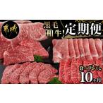 牛肉 サーロイン 黒毛和牛食べ尽くし10ヶ月定期便