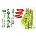 fu.... налог овощи вид спаржа Kagawa префектура восток ... город No.4631-1644 спаржа .... ...30cm semi длинный размер 1kg
